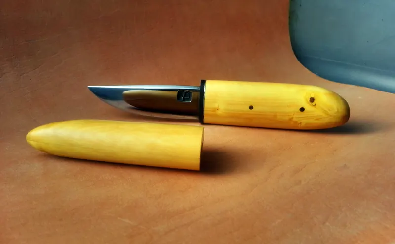 A small knife with a wooden cover, finished project