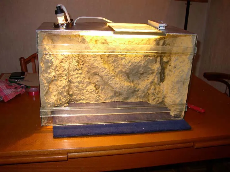 Custom glass terrarium with a textured rock-style background and fitted lighting
